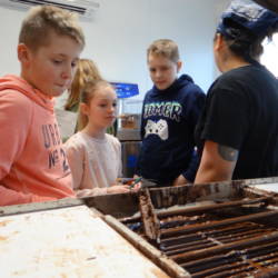 Ecole de Freux - La Pause Chocolat Thé